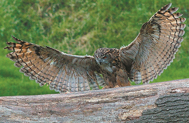 Βιβλία, χιλιάδες βιβλία